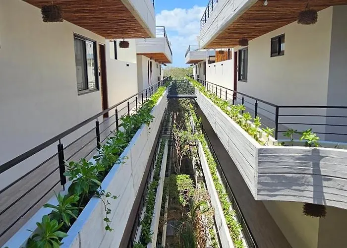 Botanic Departamento Doble En Con Alberca, Ac, Amenidades, Cerca De La Playa Apartment *