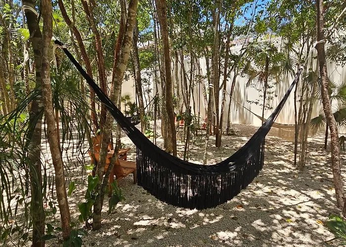 Apartment Botanic Departamento Doble En Con Alberca, Ac, Amenidades, Cerca De La Playa Tulum