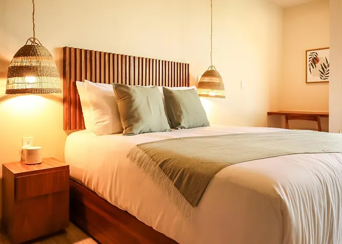 Botanic Departamento Doble En Con Alberca, Ac, Amenidades, Cerca De La Playa Apartment Tulum