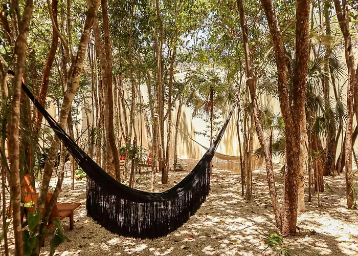 Botanic Departamento Doble En Con Alberca, Ac, Amenidades, Cerca De La Playa *